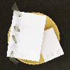 blank wedding invitation kits daisies with ribbon